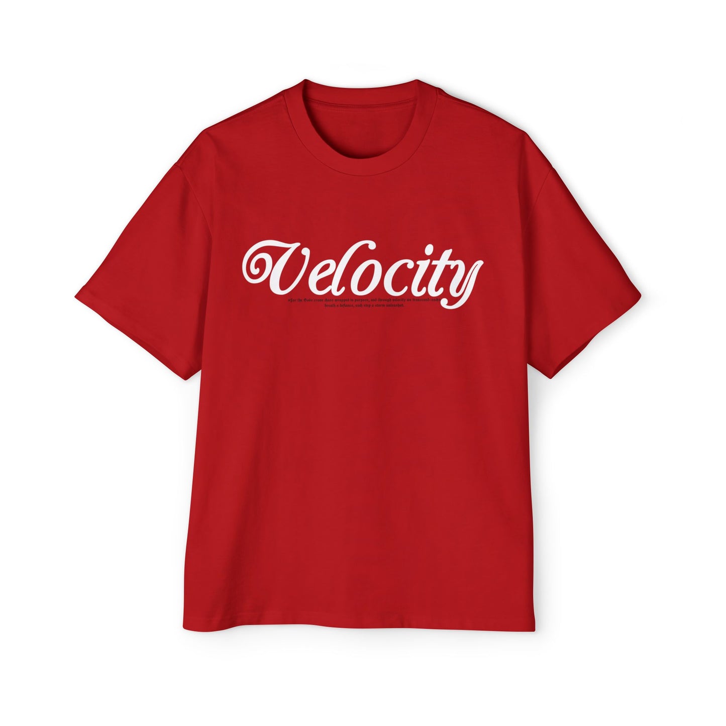 Velocity 2.0  Heavy Oversized Graphic Tee