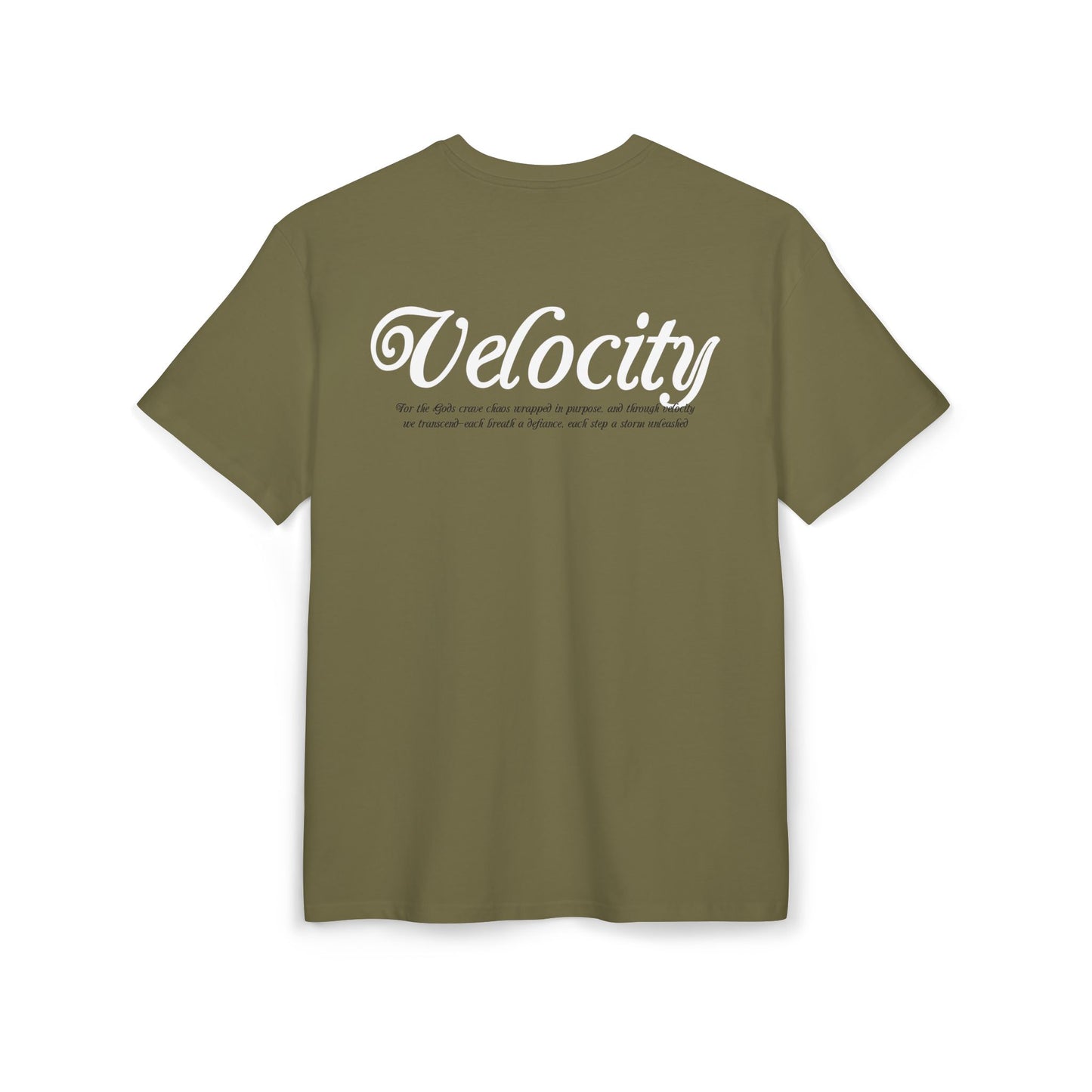 Velocity Graphic*Unisex Heavy Oversize Tee