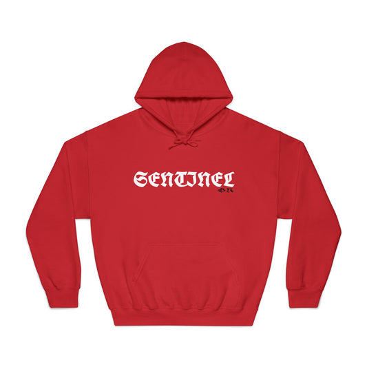 Sentinel*Nothing Special Vol. 2 / Mid-Heavy Hoodie