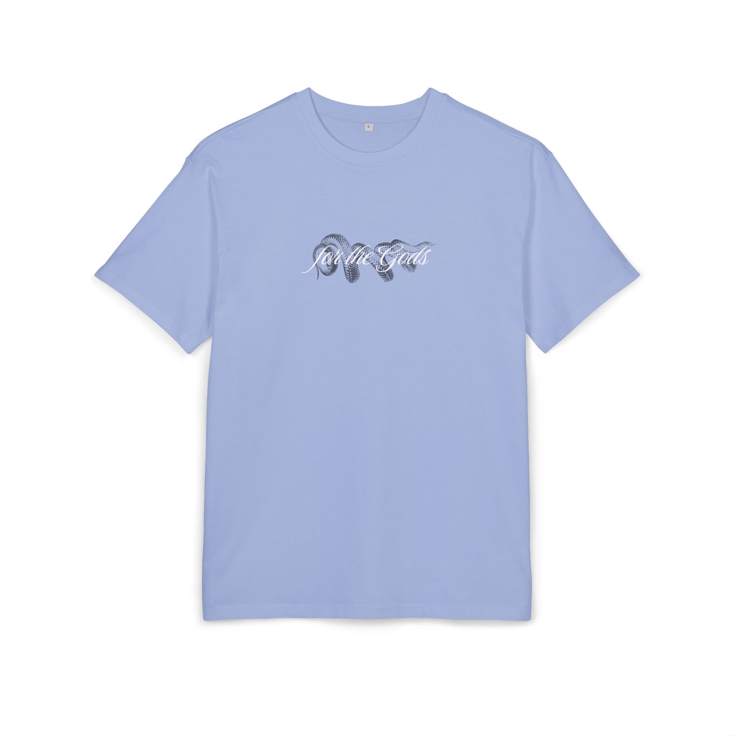 Snake & Botanicals// Heavy Oversized graphic tee