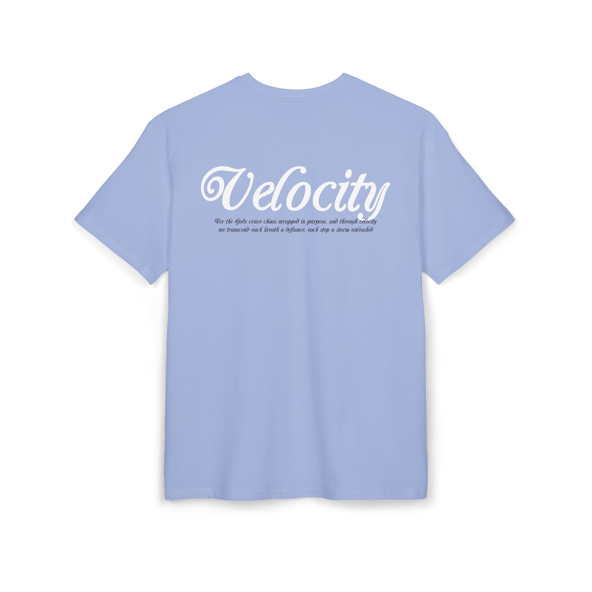 Velocity Graphic*Unisex Heavy Oversize Tee