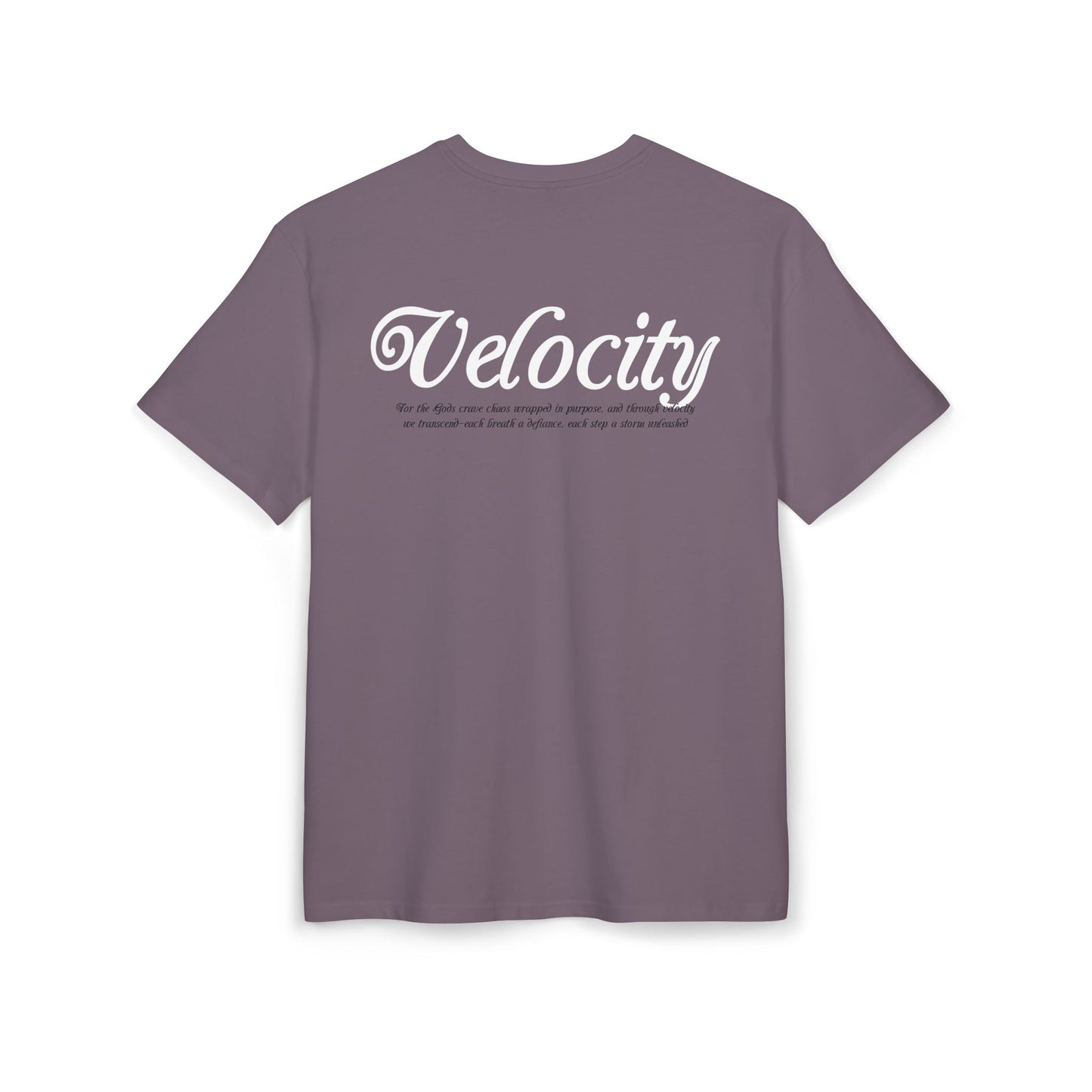 Velocity Graphic*Unisex Heavy Oversize Tee