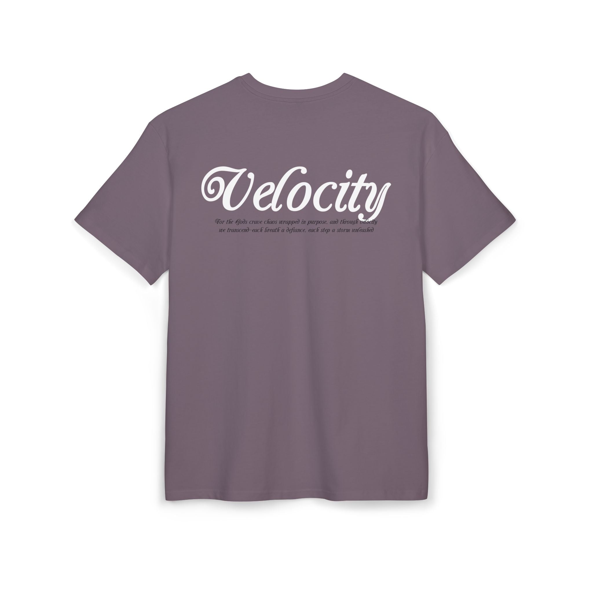 Velocity Graphic*Unisex Heavy Oversize Tee